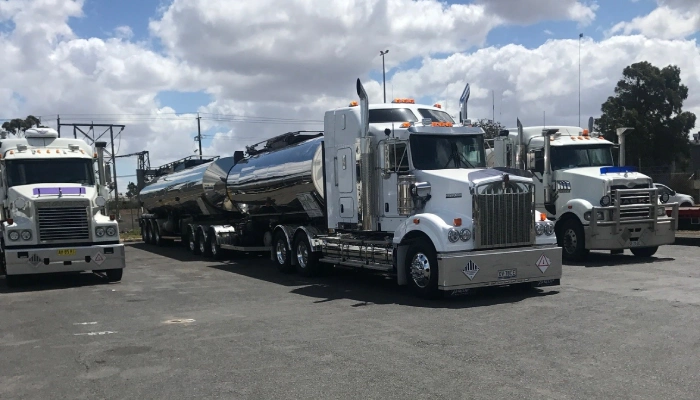 bfm benefits include img